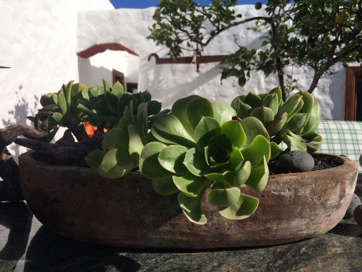 Casa Alegria Apartment Los Valles Екстериор снимка
